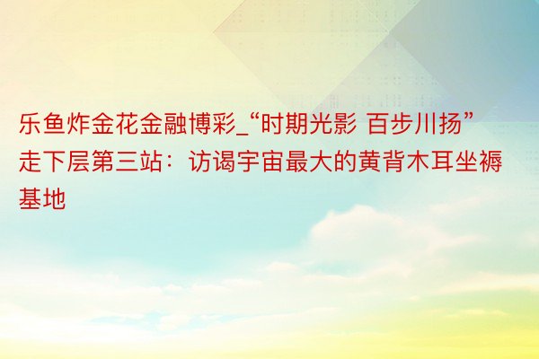 乐鱼炸金花金融博彩_“时期光影 百步川扬”走下层第三站：访谒宇宙最大的黄背木耳坐褥基地