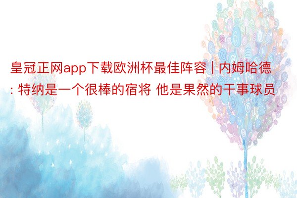 皇冠正网app下载欧洲杯最佳阵容 | 内姆哈德: 特纳是一个很棒的宿将 他是果然的干事球员