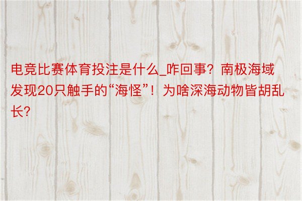 电竞比赛体育投注是什么_咋回事？南极海域发现20只触手的“海怪”！为啥深海动物皆胡乱长？