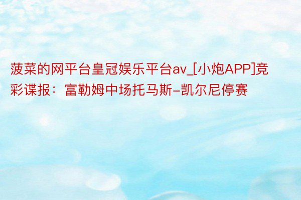 菠菜的网平台皇冠娱乐平台av_[小炮APP]竞彩谍报：富勒姆中场托马斯-凯尔尼停赛