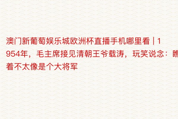 澳门新葡萄娱乐城欧洲杯直播手机哪里看 | 1954年，毛主席接见清朝王爷载涛，玩笑说念：瞧着不太像是个大将军